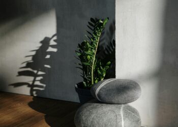 feng shui