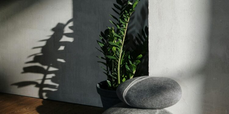 feng shui